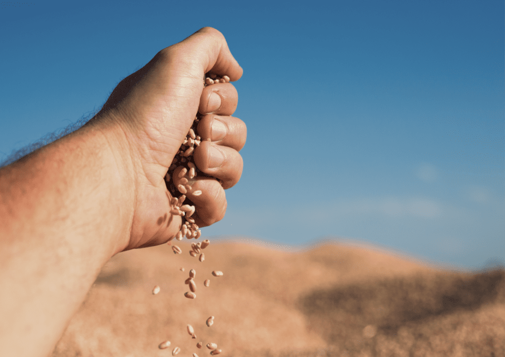 Fire Eagles|Training